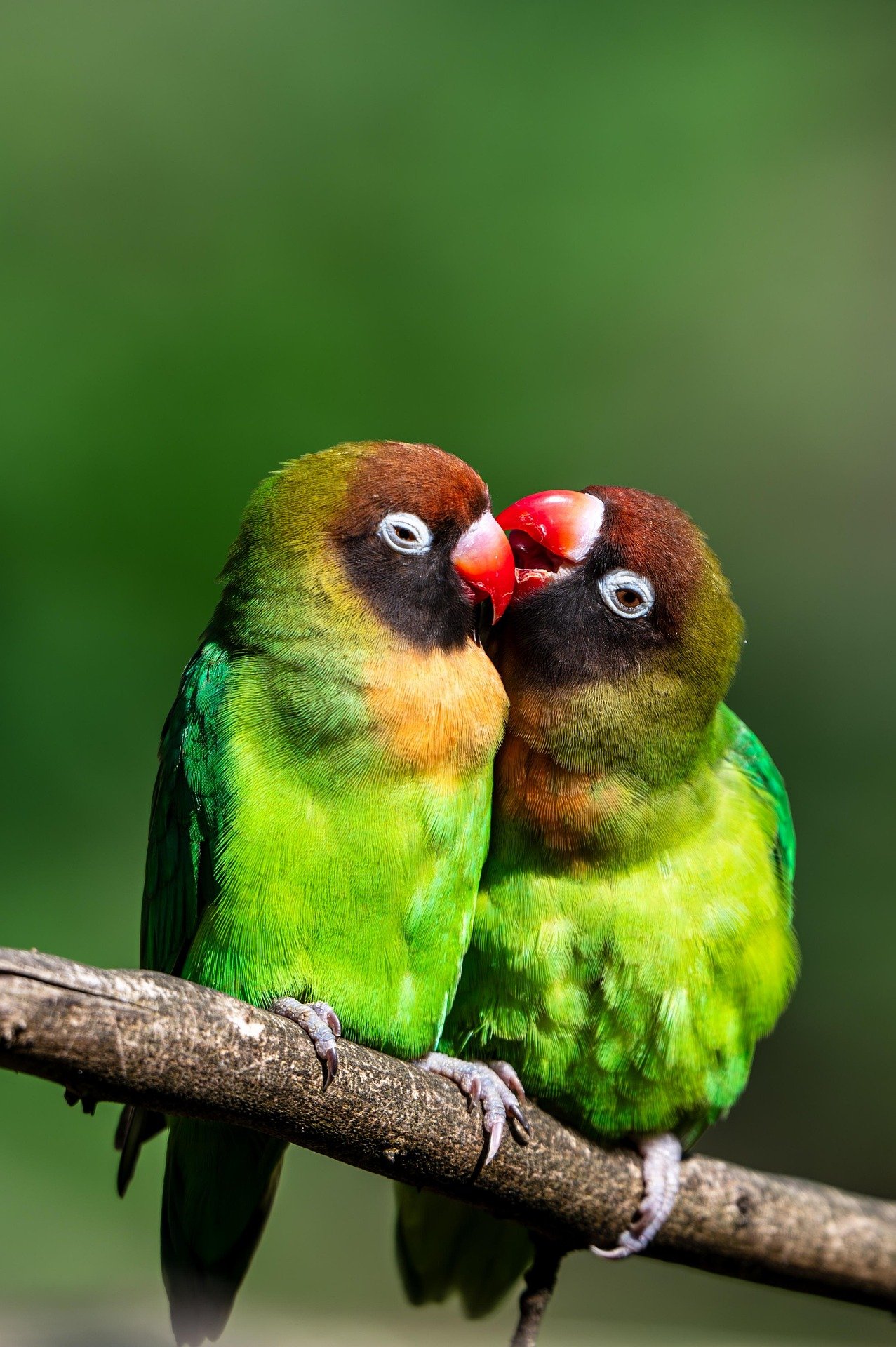 A Quiet Language of Love